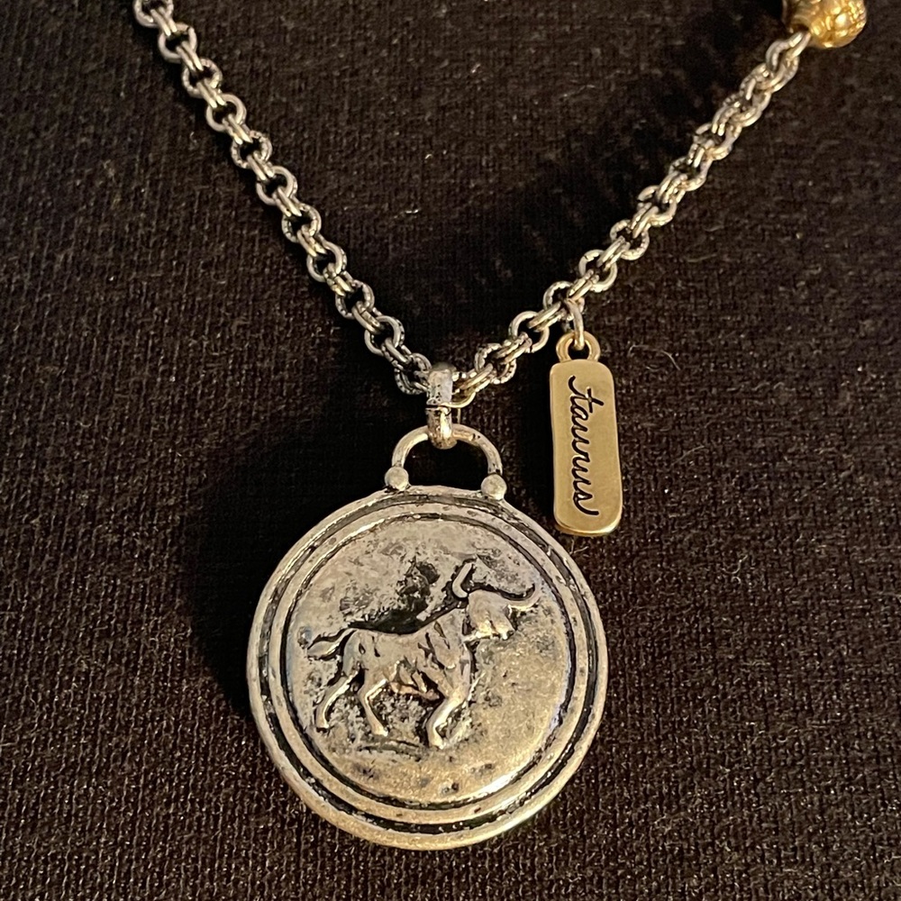 NWT! Chico’s Taurus Adjustable and reversible! Silver pendant necklace